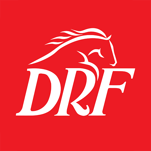 DRF أيقونة