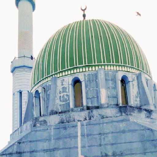 خطب منبرية الشيخ الشريف إبراهيم الحسينى الجزء ١ أيقونة