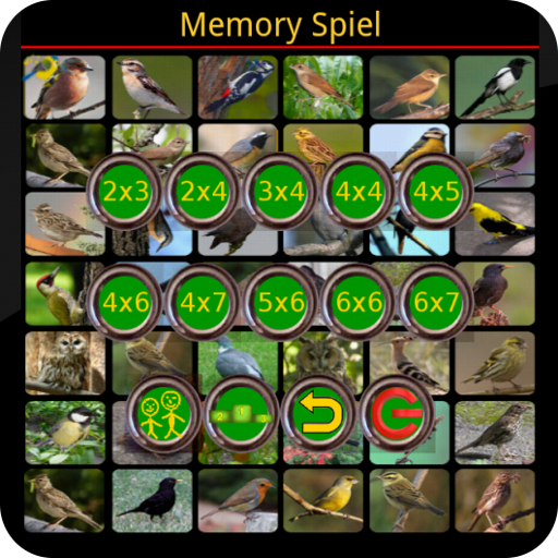 True Birds Memory Game Free icon