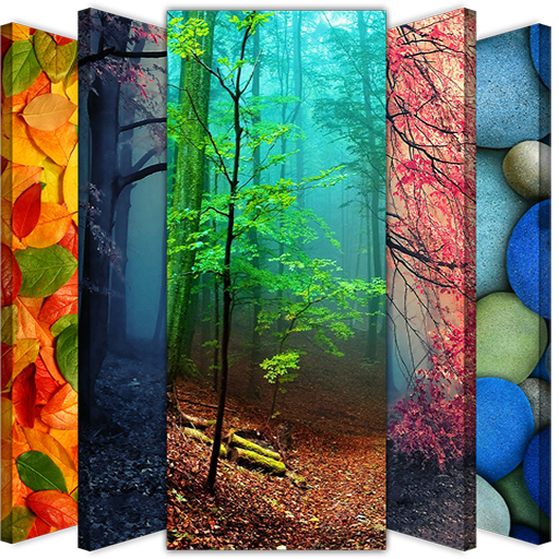 Background Wallpaper HD icon