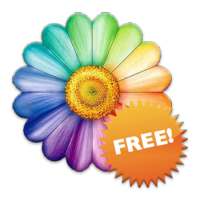 Divination by daisy Free