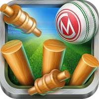 Cricket World Cup