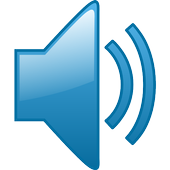 Audio Manager icon