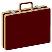 Job Interview Strategy icon