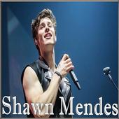 Shawn Mendes icon