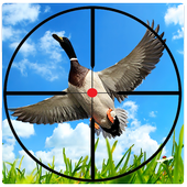 Bird Hunter : Sniper Duck Hunting Season War icon