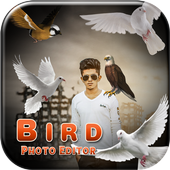 Bird Photo Editor icon