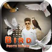 Bird Photo Editor