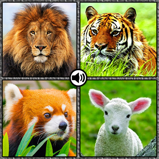 Animal sounds with pictures 2021 icon