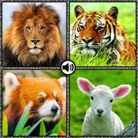 Animal sounds with pictures 2021