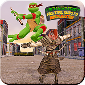 Turtle Hero Street Fighting icon