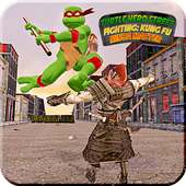 Turtle Hero Street Fighting