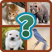 Guess the Animal - Trivia game to learn animals