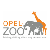 Opel-Zoo App icon