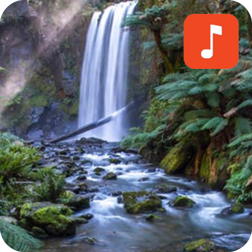 Rainforest Sound Effects icon