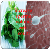 How to Increase Sperm Volume icon