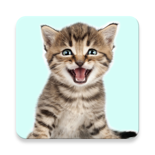 Cat Sounds icon