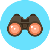 Spy Craft icon