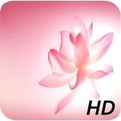 HD Huawei P10 Wallpaper icon