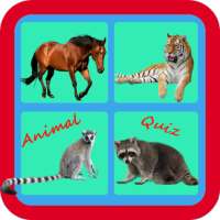 Animal Quiz