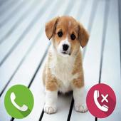Fake Call Dog icon