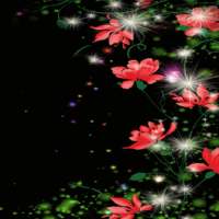 Red Flowers Magic LWP on 9Apps