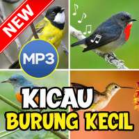 Suara Pikat Burung Kecil Ampuh