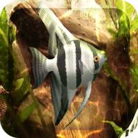 HD Aquarium Live Wallpaper 3D