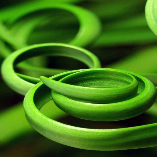 Green HD Wallpaper icon