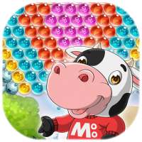 Moo Bubble Farm