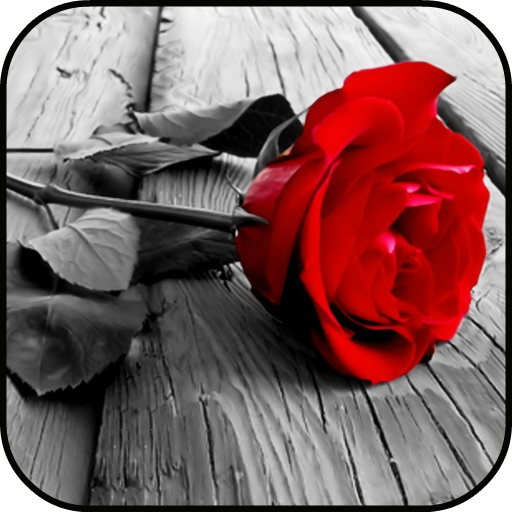 Red Rose Lock Screen Wallpaper icon