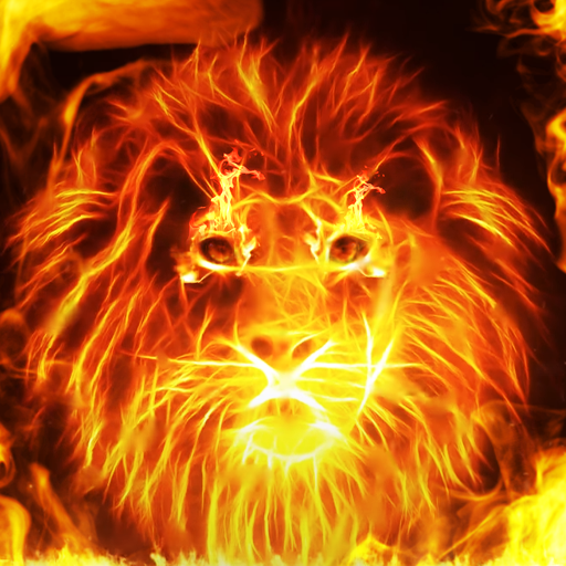 Fire Wallpaper and Keyboard - Fire Lion icon