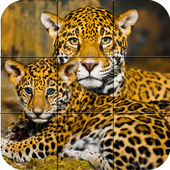 Puzzle - Wild Cats icon