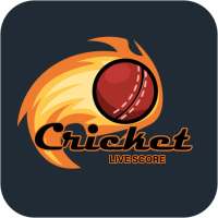 Dream Team Live Cricket Score