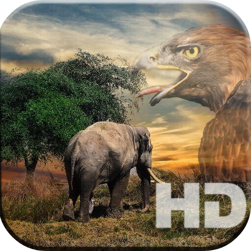 Animals and Birds Wallpaper HD, cute &amp; dangerous icon