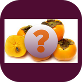 Fruit Tiles 2016 icon