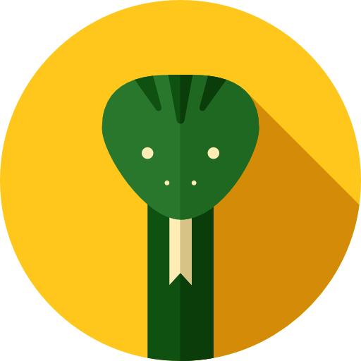 The Snake Game: Snake2 icon