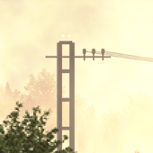 Road Trip Live Wallpaper icon