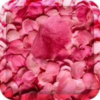 Flower Petals 3D Wallpaper HD on 9Apps