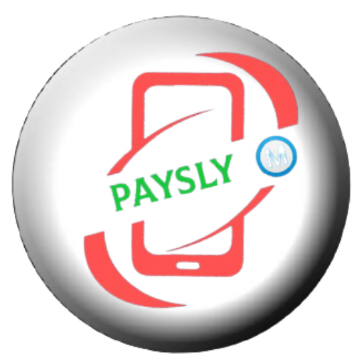 Paysly icon