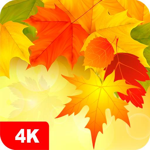 Autumn Wallpapers 4K