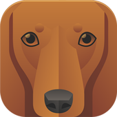 Dog Breeds Quiz icon