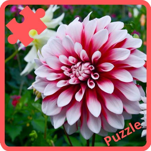 Puzzle - Flowers and Beautiful Rose🌼🌸 icon