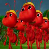 Video For children Ants march on 9Apps