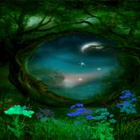 Magical Night Live Wallpaper on 9Apps