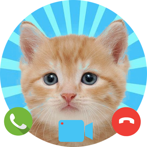 Fake Call from Cat - Prank Caller icon