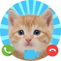 Fake Call from Cat - Prank Caller
