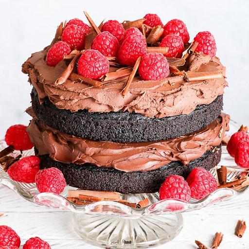Vegan cakes recipes icon