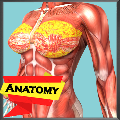 Human Anatomy Encyclopedia - Organs &amp; Skeleton أيقونة