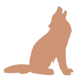 Wolf VPN - Free VPN Proxy &amp; Wi-Fi Security icon